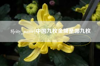 博尔塔拉中国九枚金牌是哪九枚