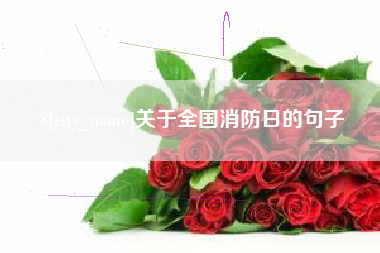 博尔塔拉关于全国消防日的句子