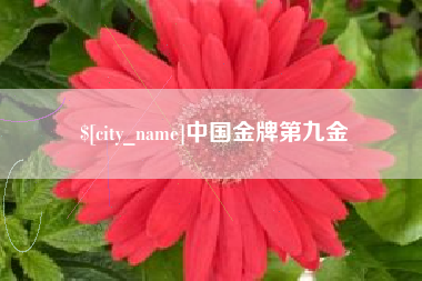 博尔塔拉中国金牌第九金