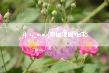 博尔塔拉中国地图9宫格