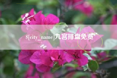 博尔塔拉九宫排盘免费