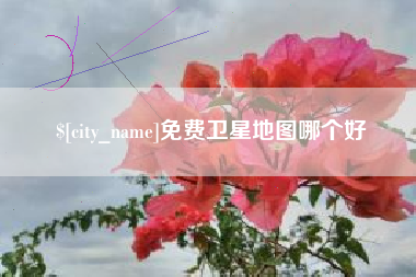 博尔塔拉免费卫星地图哪个好