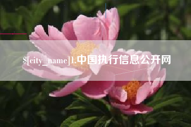 博尔塔拉1.中国执行信息公开网