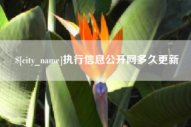 博尔塔拉执行信息公开网多久更新
