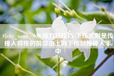 博尔塔拉60米接力赛技巧-下压式则是传棒人将棒的前部由上向下传到接棒人手中