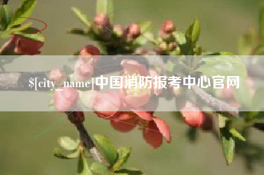 博尔塔拉中国消防报考中心官网