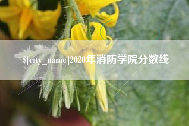 博尔塔拉2020年消防学院分数线