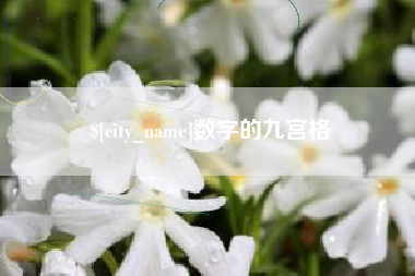 博尔塔拉数字的九宫格