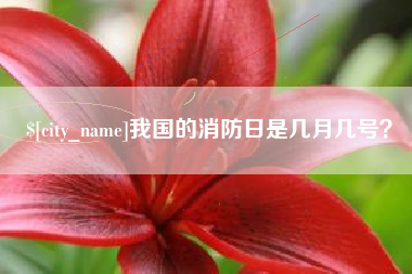 博尔塔拉我国的消防日是几月几号？