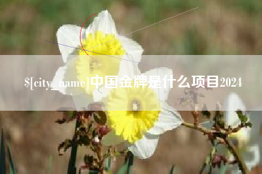 博尔塔拉中国金牌是什么项目2024