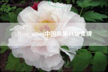 博尔塔拉中国队第八块金牌