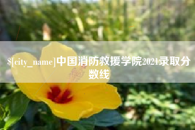 博尔塔拉中国消防救援学院2021录取分数线