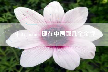 博尔塔拉现在中国哪几个金牌