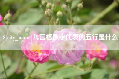 博尔塔拉九宫格数字代表的五行是什么