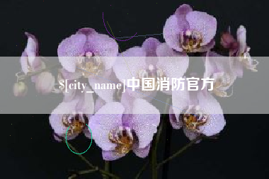 博尔塔拉中国消防官方