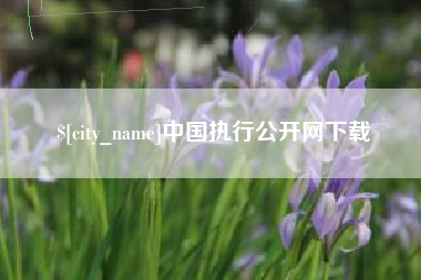 博尔塔拉中国执行公开网下载