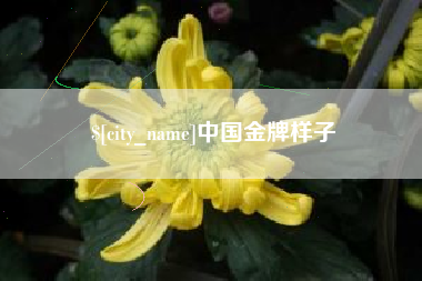 博尔塔拉中国金牌样子