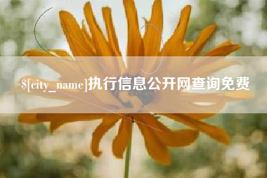 博尔塔拉执行信息公开网查询免费