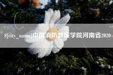 博尔塔拉中国消防救援学院河南省2020